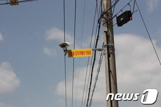 본문 이미지 - 경북 예천군 유천면에 설치된 방범용 CCTV/© News1 채봉완기자 