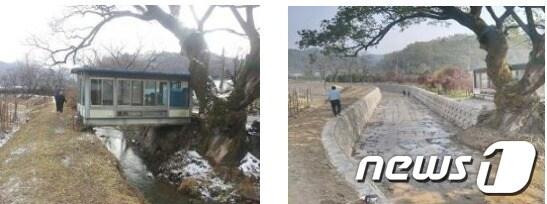 본문 이미지 - 호안 정비 전과 후 © News1 