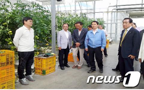 본문 이미지 - 사진제공=전남농업기술원© News1 