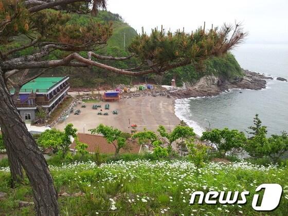 본문 이미지 - 