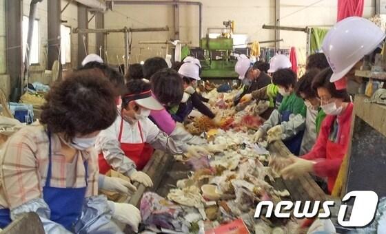 본문 이미지 - 전남 고흥군청 간부공무원 부인들이 쓰레기 선별처리 체험을 실시하고 있다. © News1 