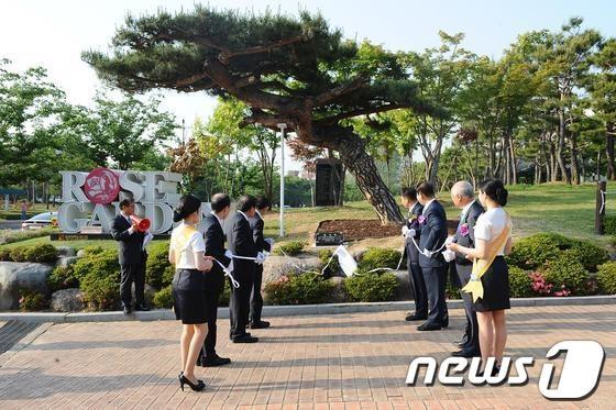 본문 이미지 - 조선대는 24일 오후 장미원 입구에서 천창석 부안성모병원 회장이 기증한 수령 300년 이상 명품소나무 표지석 제막식을 진행했다.(사진=조선대) © News1 