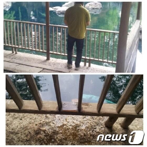 본문 이미지 - © News1 