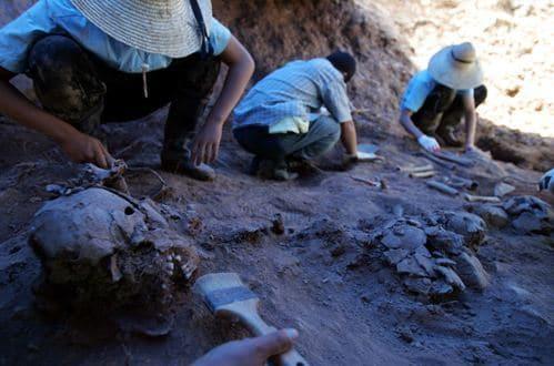 본문 이미지 - 한국전쟁 당시 재판절차를 거치지 않은 채 민간인이 국군 등에 의해 살해된 '경산 국민보도연맹 및 예비검속 사건'의 유해 수습 작업이 15년 만에 재개된다. 사진은 1기 진실화해위가 발굴한 유골들. News1 자료 사진