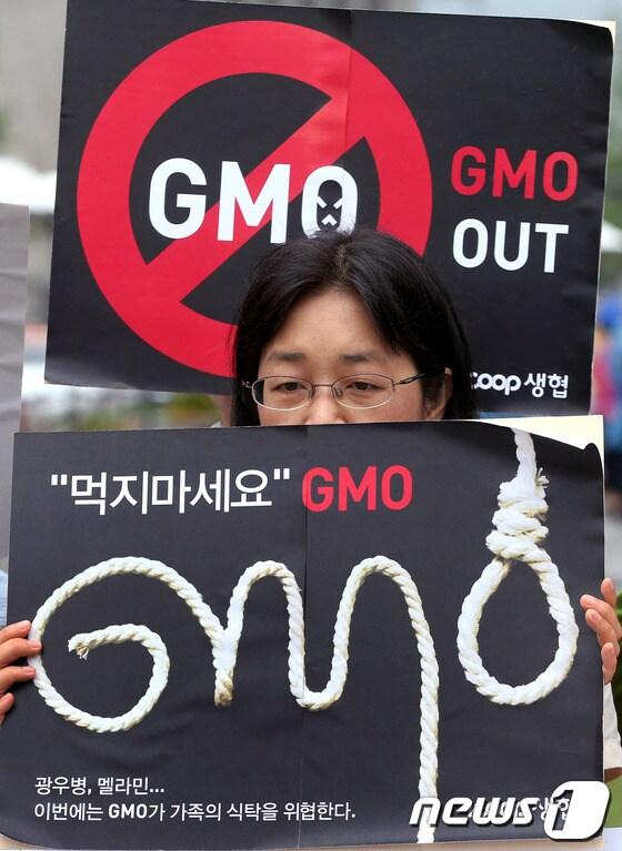 본문 이미지 - © News1 