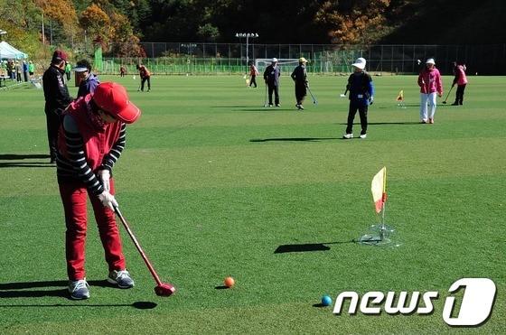 본문 이미지 - 사진제공=태백시청 © News1 