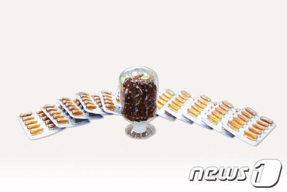 본문 이미지 - 미세조류를 이용한 DHA/사진제공=경북바이오산업연구원 © News1 