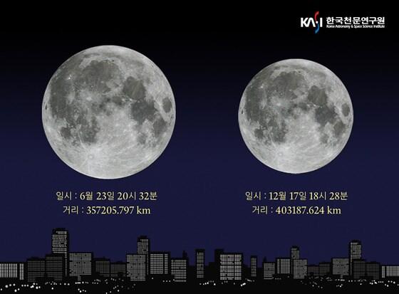 본문 이미지 - © News1 