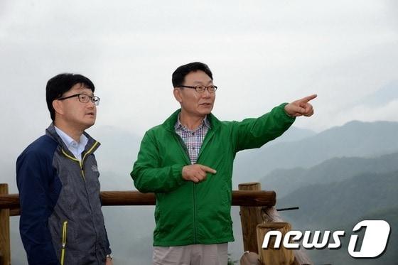 본문 이미지 - © News1 