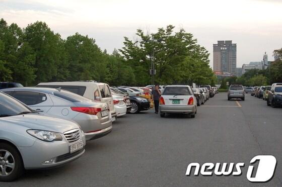 본문 이미지 - 둔산대공원 일대가 주말을 중심으로 심각한 주차난을 겪고 있어 대책마련이 시급한 실정이다.© News1 