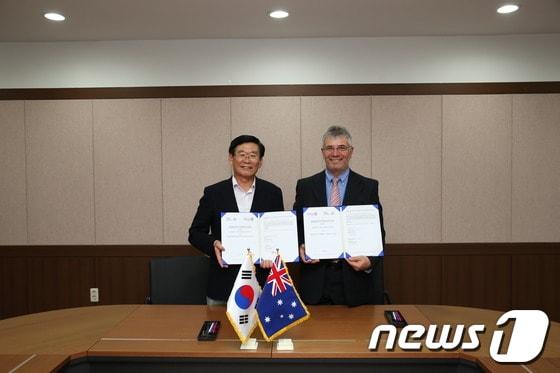 본문 이미지 - © News1 