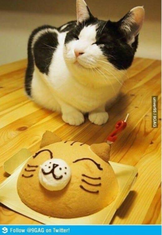 본문 이미지 - 온라인 커뮤니티. © News1 