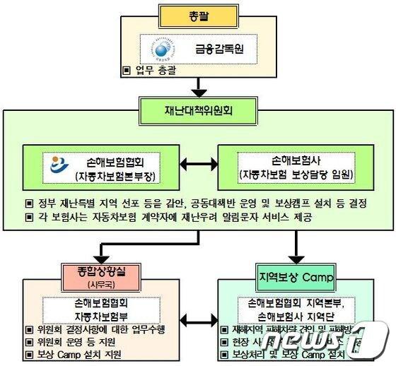 본문 이미지 - 공동대책반 운영계획(자료제공=손해보험협회)© News1  