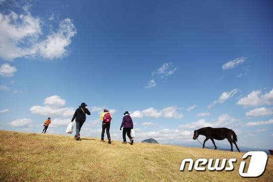 본문 이미지 - 제주 올레길/사진제공=사단법인 제주올레© News1  