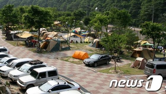 본문 이미지 - 소선암오토캠핑장 모습. © News1 