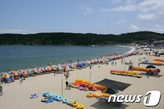 본문 이미지 - 울산 동구 일산해수욕장의 전경© News1 뉴스1 포토뱅크