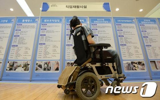 본문 이미지 - '2013 은평 장애인 일자리 정보한마당'에서 장애인 구직자가 채용정보를 살피고 있다. 2013.6.20/뉴스1