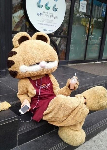 본문 이미지 - 온라인 커뮤니티. © News1 