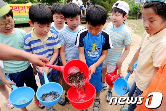 본문 이미지 - 21일 원주 백간공원에서 미꾸라지 방류행사가 열렸다.2013.6.21/뉴스1 © News1 김종길 