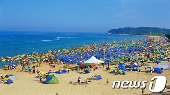 본문 이미지 - 속초해변  (사진제공=속초시청) © News1   윤창완 기자