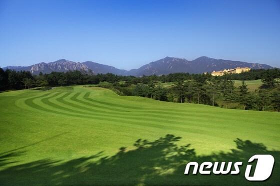 본문 이미지 - 플라자CC설악.© News1 