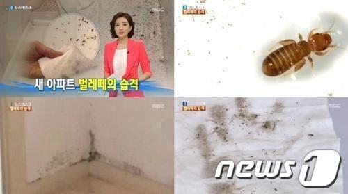 본문 이미지 - MBC '뉴스데스크'. © News1 