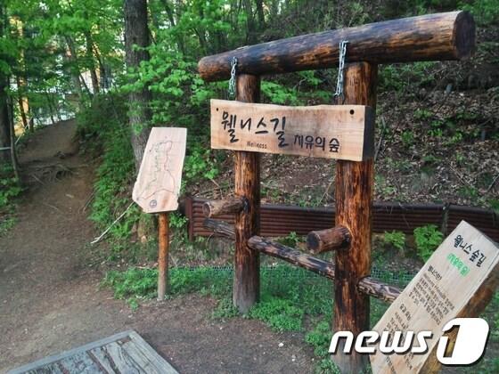 본문 이미지 - 사진제공=한화리조트 휘닉스파크.© News1 