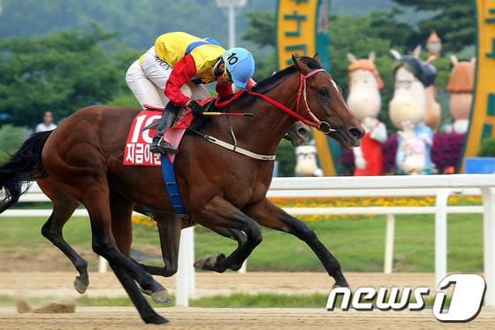 본문 이미지 - 30일 과천 서울경마공원에서 열린  제1회 제주특별자치도지사배 대상경주에서 `지금이순간'에 기승한 문세영 선수가 가장 먼저 결승선을 통과하고 있다./사진제공=한국마사회© News1  