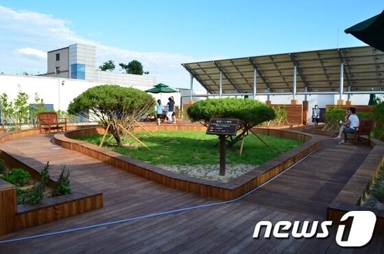 본문 이미지 - 광산구 첨단종합사회복지관은 지난5월말부터 시작한 옥상정원인 '첨단하늘정원'을 완공했다.© News1 