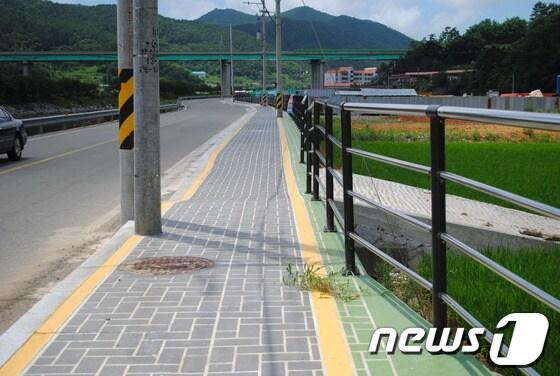 본문 이미지 - 우측 녹색으로 칠한 곳이 자전거 도로.© News1 