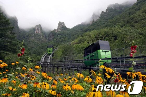 본문 이미지 - 삼척시는 환선굴 모노레일 이벤트와 경품행사를 실시한다.(사진제공=삼척시) 2013.7.20/뉴스1 © News1  