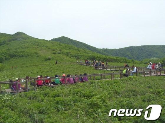 본문 이미지 - 곰배령(사진제공=설악산 국립공원사무소) © News1 