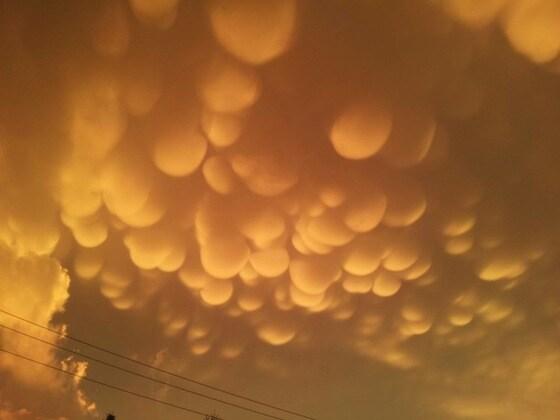 본문 이미지 - 조 노타지 페이스북. © News1 