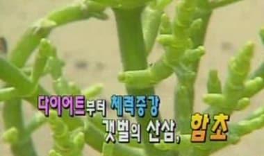 본문 이미지 - MBC &#39;생방송 오늘 아침&#39;. © News1 