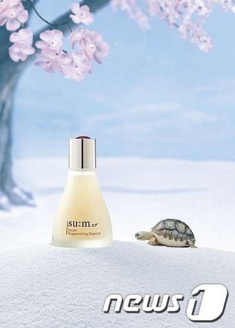 본문 이미지 - 숨37시크릿 프로그래밍 에센스© News1  