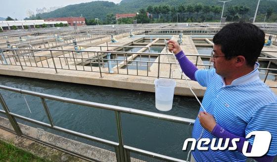 본문 이미지 - 수질연구원이 대구시 달성군 매곡정수사업소  침전조에서 물을 채취해 부유물 육안검사를 하고 있다.(뉴스1 DB)