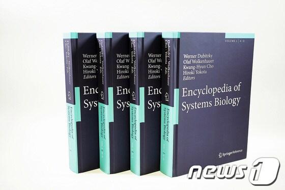 본문 이미지 - © News1 