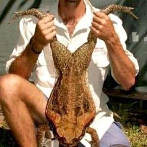 본문 이미지 - 온라인 커뮤니티. © News1 