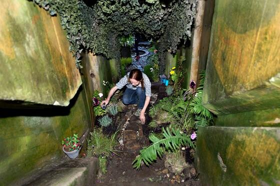 본문 이미지 - p7일(현지시간) 덴마크 북부 항구도시인 히르트스할스에서 열린 벙커러브(Bunkerlove) 문화제에서 제2차 세계대전 중 해안을 감시하기 위해 독일군이 구축한 벙커에서 현재는 ‘화원’으로 변한 벙커에서 한 여성이 작업을 하고 있다. 이 축제는 덴마크 지역 및 국제 예술가들이 유틀란드 서해안을 따라 꽃으로 장식한 각각의 벙커 내부, 또는 벙커 위에서 열리고 있다. © AFP=뉴스1  /p