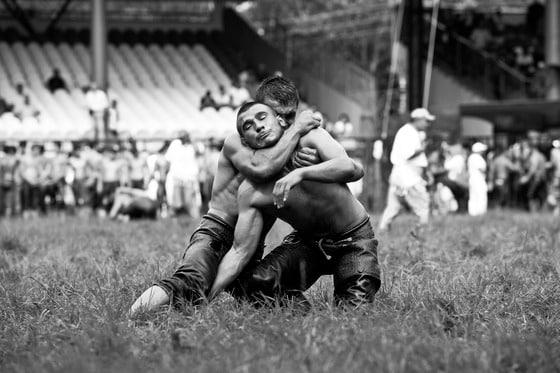 본문 이미지 - p7일(현지시간) 터키 서북부 에디르네 근처 사라이치에서 매년 개최되는 제652회 키르크피나르(Kirkpinar) 오일레슬링대회에서 젊은 선수들이 기량을 겨루고 있다. 참가자들은 머리부터 발끝까지 오일을 바른 채 웃통을 벗고 특별히 고안된 가죽바지를 입은 뒤 경기에 나선다. © AFP=뉴스1  /p