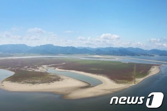 본문 이미지 - 뭍으로 변한 새만금 관광레저용지/뉴스1