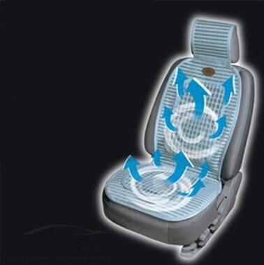 본문 이미지 - 에스키모 바람방석© News1  