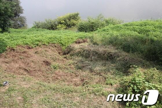 본문 이미지 - 충남공주 공산성 광복루 부근 성벽과 금강 사이 지반에 지름 약 3m, 깊이 50cm정도의 거대한 포트홀이 형성돼 있는 모습. 4대강검증단은 올해 상반기 이같은 포트홀이 발견됐다고 밝혔다. 이들은 4대강사업으로 강바닥을 깎으면서 이 지대의 모래톱이 대부분 유실되고, 수압이 기하급수적으로 높아지면서 산성벽 지반침식을 일으키고 있다고 주장했다/2013.8.28 박지선.© News1 