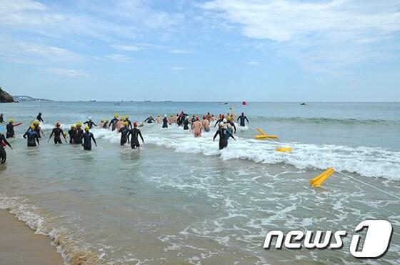 본문 이미지 - 제2회 삼척 이사부장군배 전국 바다수영대회. 2013.8.4/뉴스1 ⓒ News1 윤창완 기자