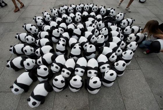 본문 이미지 - 한 소녀가 5일(현지시간) 독일 베를린 중앙역 앞에서 판다 인형을 원형으로 배열하고 있다. 이 판다들은 세계야생동물기금협회(WWF) 독일 지부 결성 50주년을 기념해 준비된 1600개의 인형들 가운데 일부다. '1600'은 실재하는 판다의 수를 상징한다. © AFP=뉴스1   이재영 인턴기자