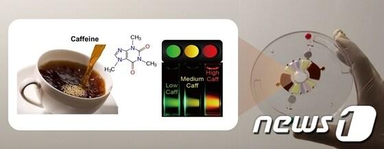 본문 이미지 - UNIST 조윤경 교수와 싱가포르 국립대학&#40;NUS&#41; 장영태 교수 공동 연구팀이 카페인 농도를 쉽게 확인할 수 있는 연구를 성공리에 마무리했다. 이번 연구의 핵심 중 하나인 UNIST 조윤경 교수의 랩온어디스크. &#40;UNIST 제공&#41; © News1  