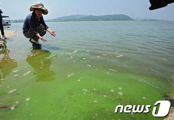 본문 이미지 - 4대강 공사와 녹조발생의 연관관계를 밝히는 조사를 위해 지난 8월 7일 오후 대구 달서구 강정고령보를 방문한 4대강 국민검증단과 민주당 이미경, 박수현 의원이 강정고령보에서 4대강 공사의 부당성에 대해 설명하고 있다. 2013.8.7./뉴스1 © News1 김영진 기자