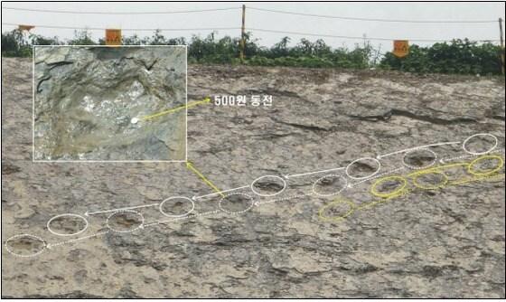 본문 이미지 - 군산시 산북동 지방공단~4토지 간 도로개설공사 구간에서 발견된 두발걷기를 보여주는 공룡발자국© News1   박지선 기자