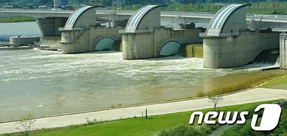 본문 이미지 - 대구 달성군 강정고령보. /뉴스1 © News1 