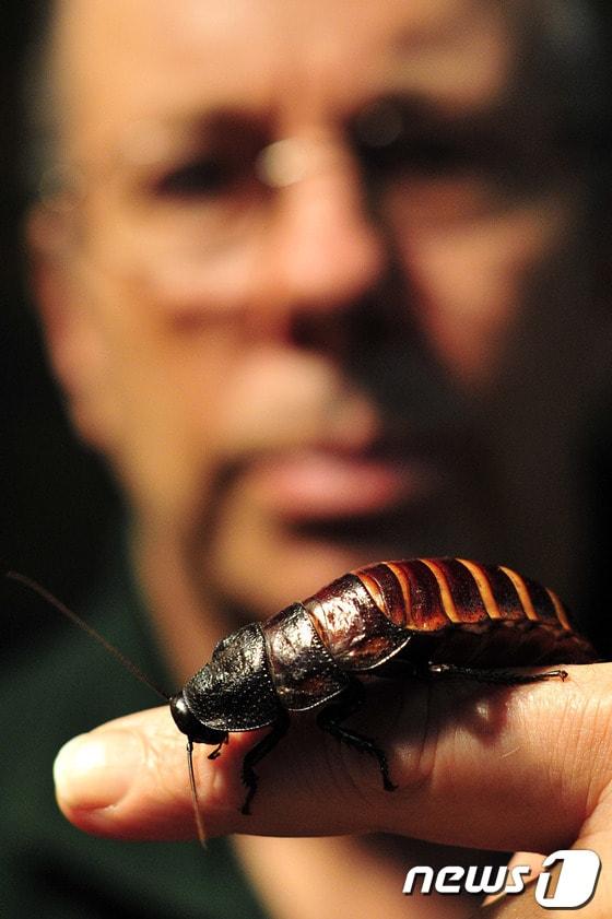 본문 이미지 - &#40;자료사진&#41;© AFP=News1 